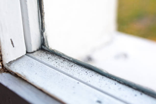 Best Mold Remediation for Healthcare Facilities  in Mccook, NE