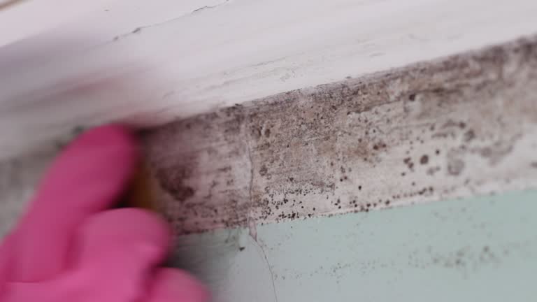 Best Comprehensive Air Testing for Mold Contaminants  in Mccook, NE